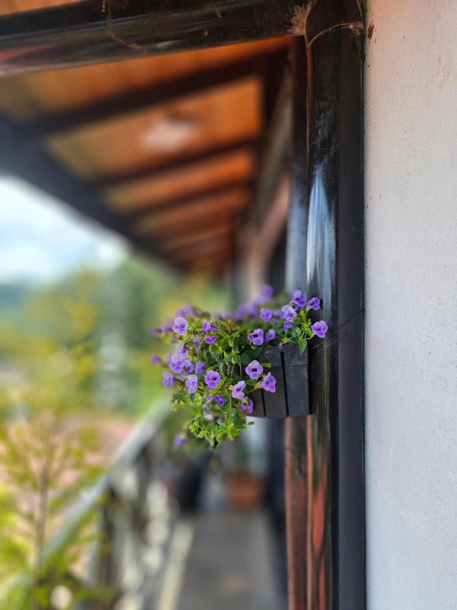 Chez Allen Nuwara Eliya Exteriér fotografie